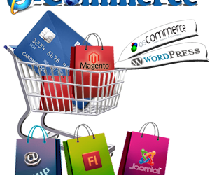 Benefits of a Professional ecommerce Design for Your Website
