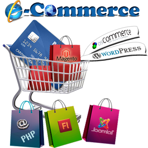 Benefits of a Professional ecommerce Design for Your Website
