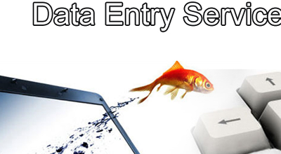 Website Data Entry in Surat Is One the Rise These Days