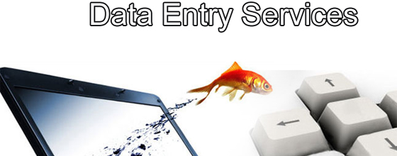 Website Data Entry in Surat Is One the Rise These Days