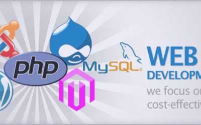Ongoing Website Development for Businesses in Surat
