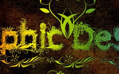 Graphic Design Surat